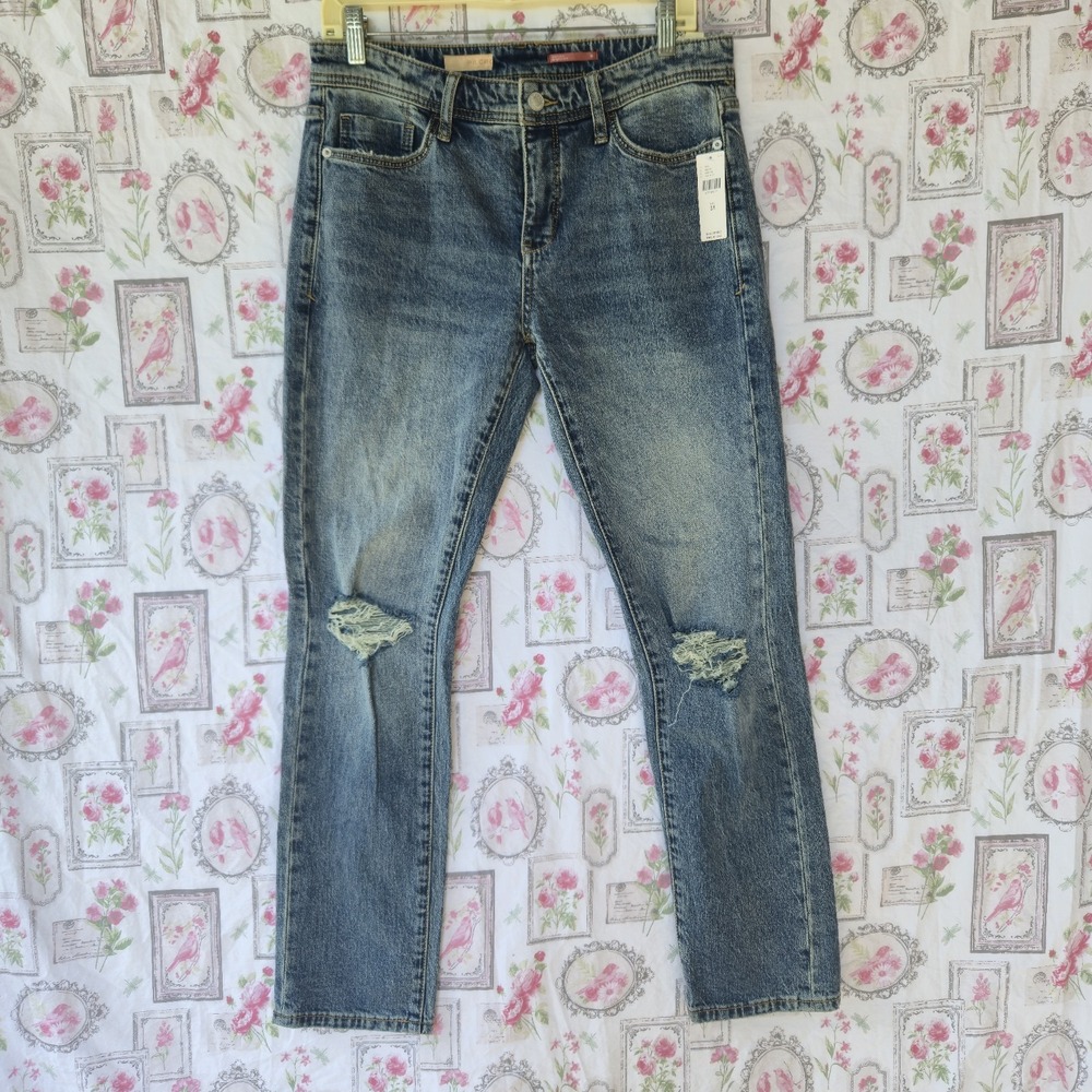 NWT Anthropologie Pilcro Slim Boyfriend Jeans 28 Distressed Blue Ripped Denim